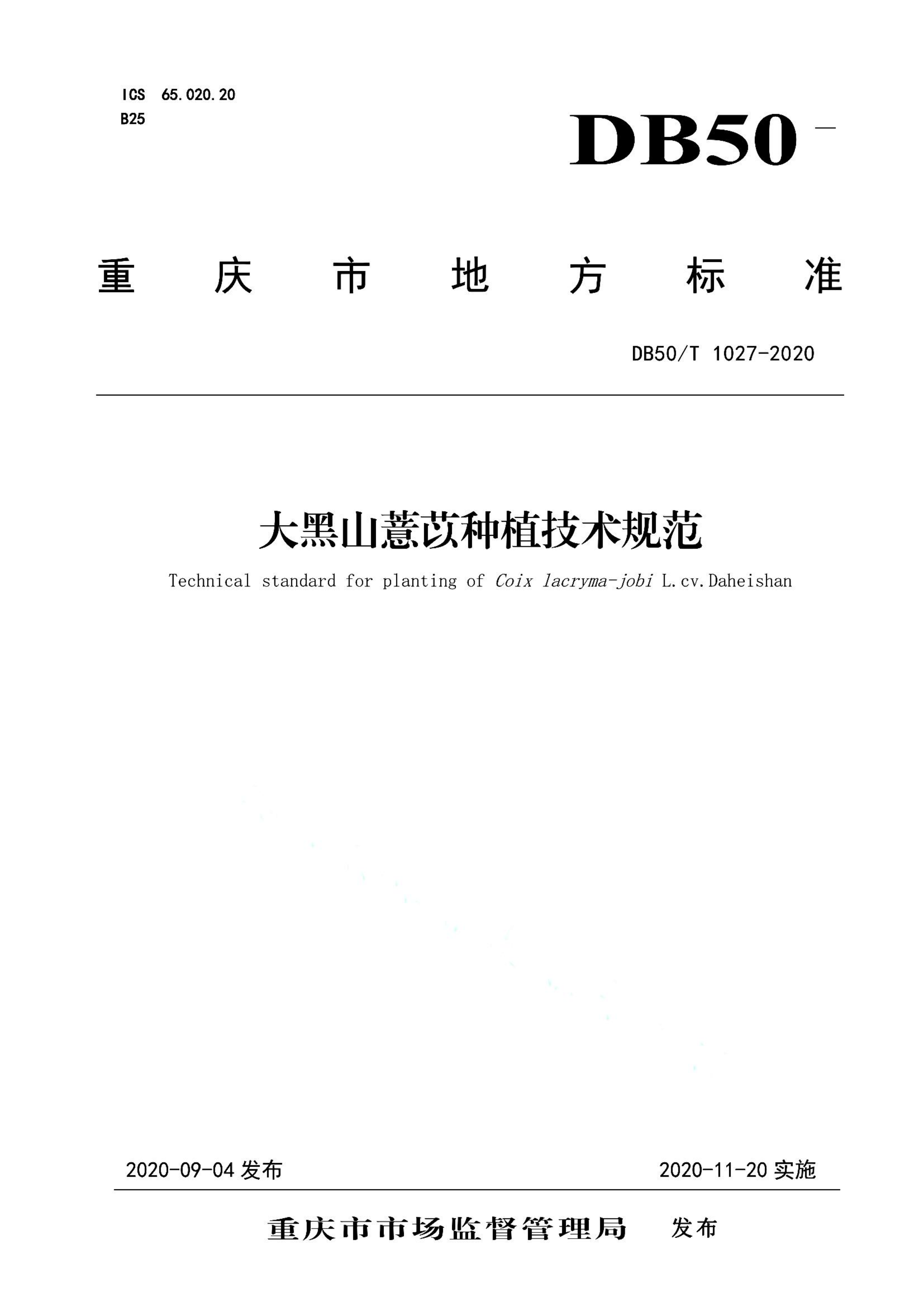 资源详情图